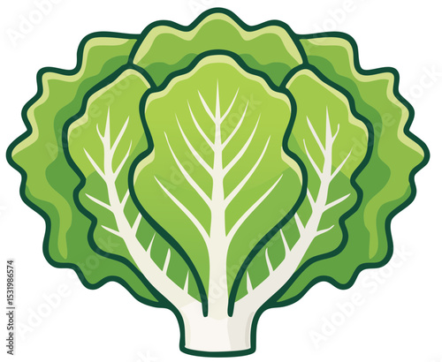 Organic Salad Greens Graphic