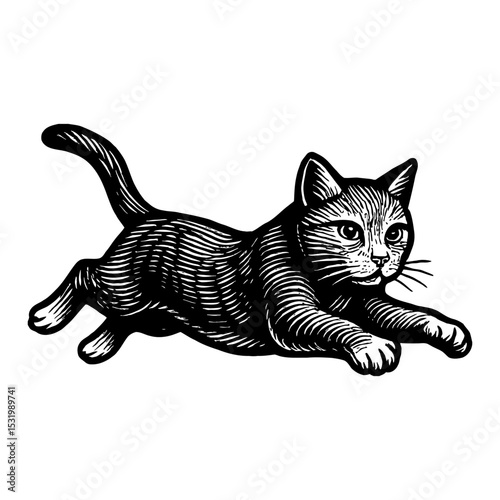 Creeping Black Cat in Black and White Outline Line Art Drawing Vector Illustration Design