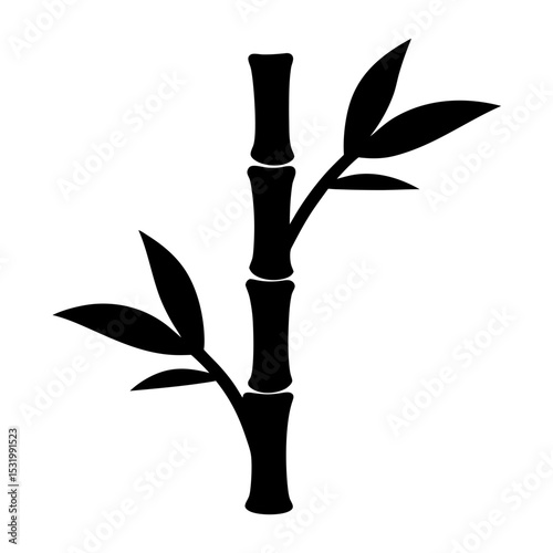 Silhouette of Bamboo Stalk with Leaves Isolated on a White Background