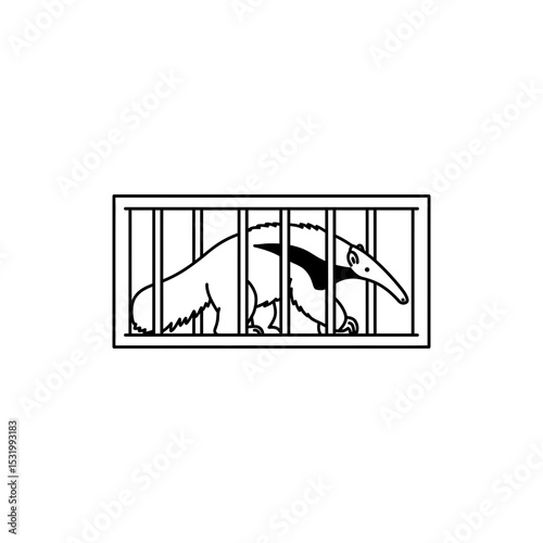  Anteater Inside Rectangular Enclosure