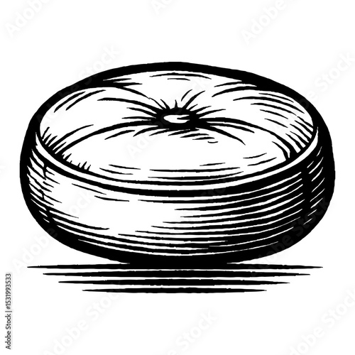 A Round Padded Cushion Detailed Black and White Outline Line Art Drawing Illustration