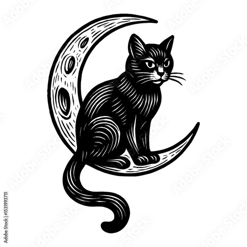 Cat Sitting on Moon Engraving in Black and White Outline Line Art Drawing Illustration photo