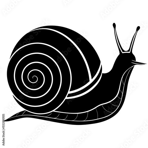snail