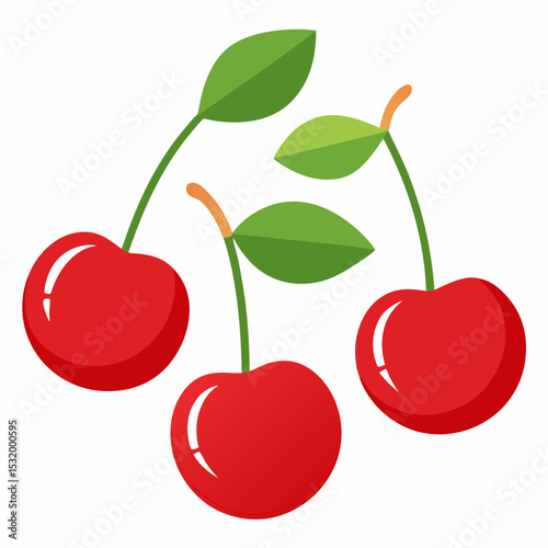 cherries vector illustration