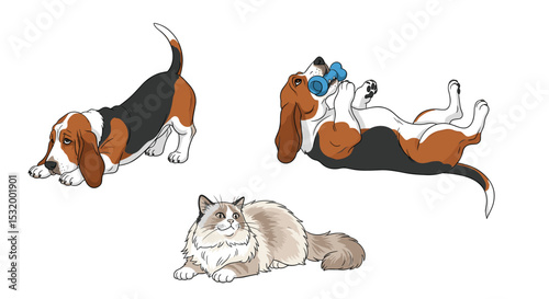 Adorable Puppies and Kitten Playing Together A Heartwarming Scene of Friendship and Joy