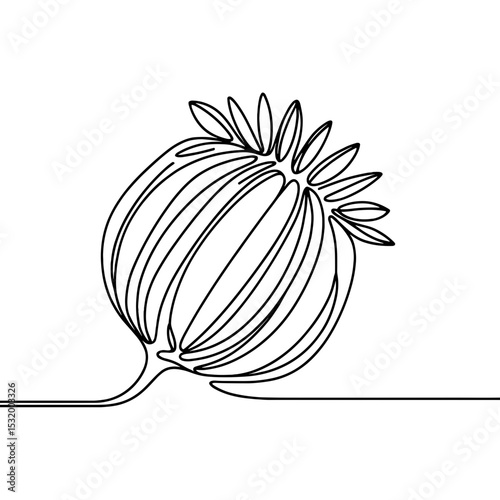 Poppy seed pod in line art representing nature and herbal use