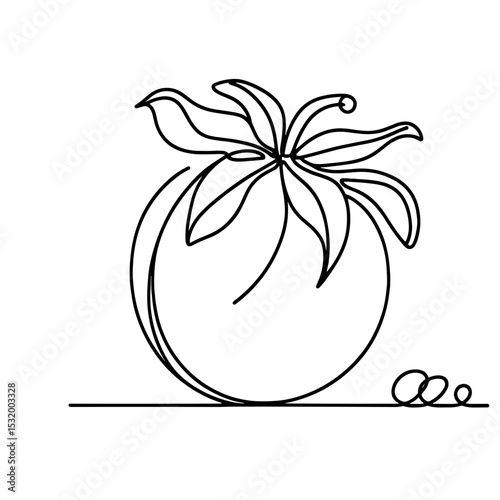 Tomato with leaves in line art representing garden produce