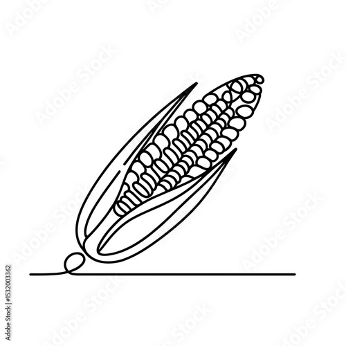 Corn cob in continuous line drawing