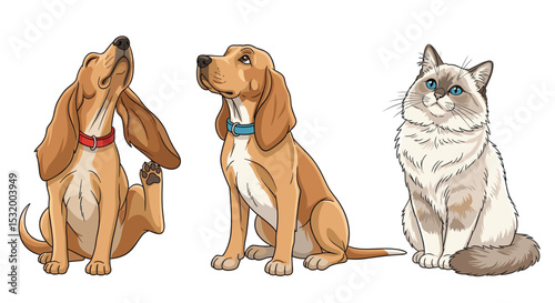 The Adorable Animals A Guide to Understanding and Caring for Your Pets Well