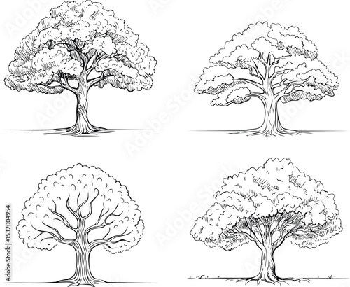 Hand-Drawn Deciduous Trees Group