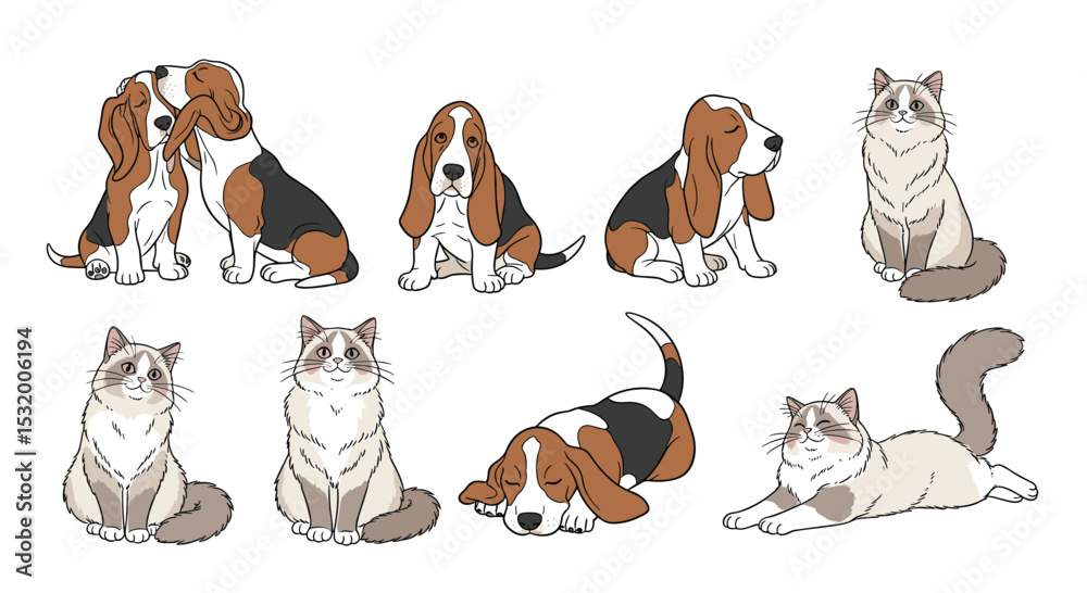 Fototapeta premium Illustrative Collection of Adorable Basset Hounds and Ragdoll Cats Posing in Different Positions