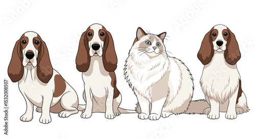 Group of Adorable Animals Sitting Together a Cat and Two Cute Basset Hounds