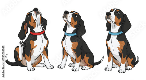 A Trio of Entlebucher Mountain Dogs Posing and Looking Upward Adorably