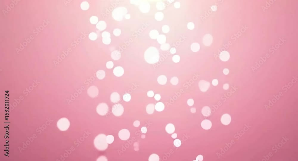 Pink Bokeh Lights Background Video