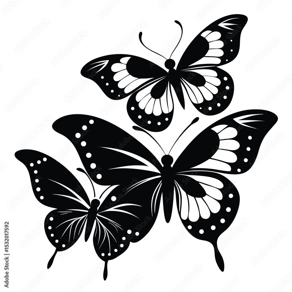 Obraz premium black and white butterfly
