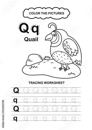 Illustration Isolated Animal Alphabet Trace and color Letter Q-quail