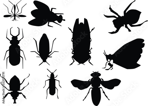 insect silhouette