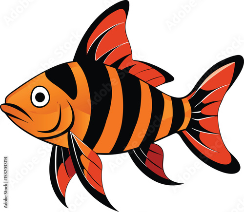 Tiger barb fish vector art