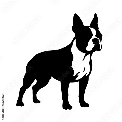 Boston Terrier silhouette, black and white dog profile.  Elegant canine image, perfect for pet-related projects, logos, and designs.