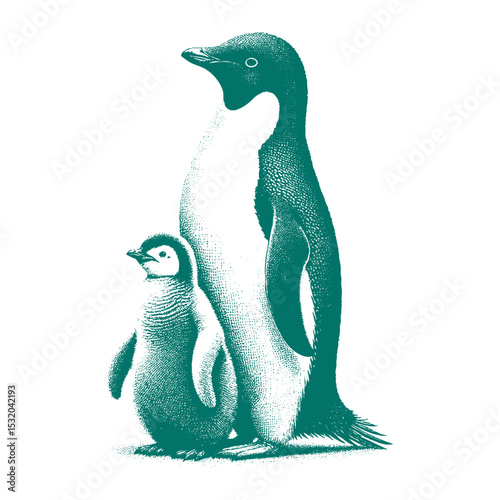 Penguin vector