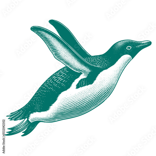 Penguin vector