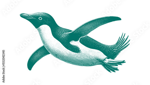 Penguin vector