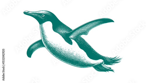 Penguin vector