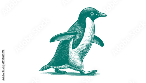 Penguin vector