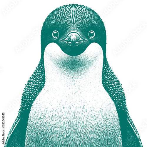 Penguin vector