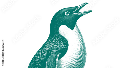 Penguin vector