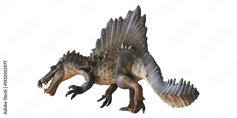 Fototapeta premium Digitally rendered Spinosaurus on white background