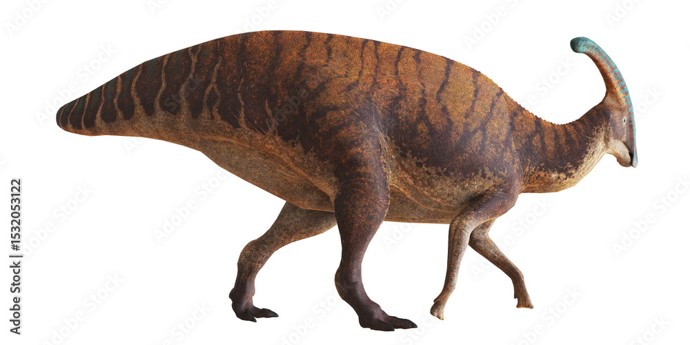 Fototapeta premium Realistic depiction of a walking Parasaurolophus.