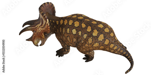Artistic rendering of a Styracosaurus dinosaur. photo