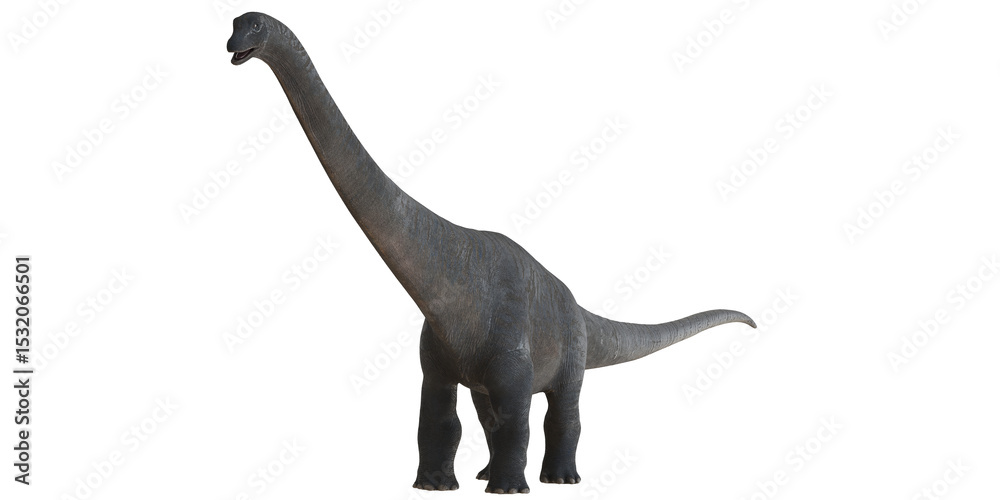Obraz premium Majestic brachiosaurus on white background