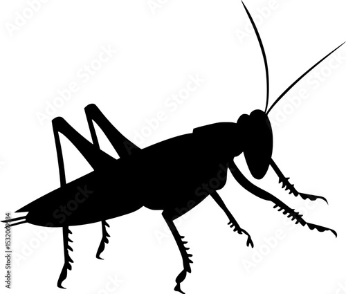 Grasshopper Black Silhouette Vector Insect Art