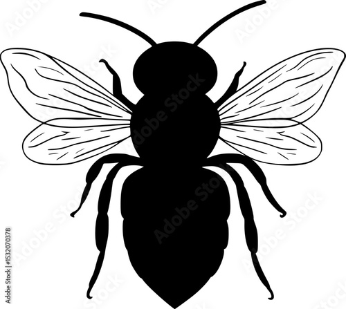 Honey Bee Silhouette Insect Vector Illustration