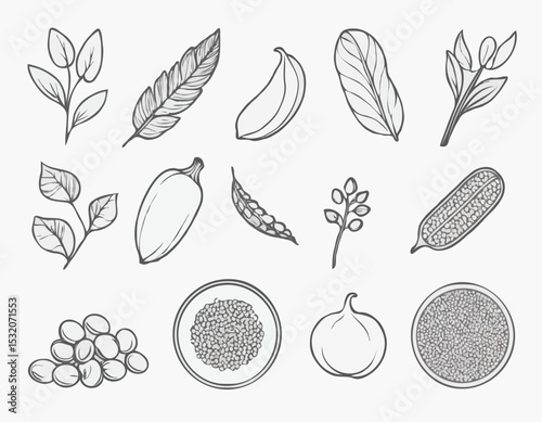 Clean Line Art Icon Set of Vegetarian Ingredients, Including Legumes, Grains, and Seeds, Suited for Mobile Apps and Website Design.