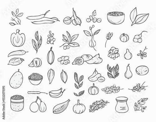 Clean Line Art Icon Set of Vegetarian Ingredients, Including Legumes, Grains, and Seeds, Suited for Mobile Apps and Website Design.