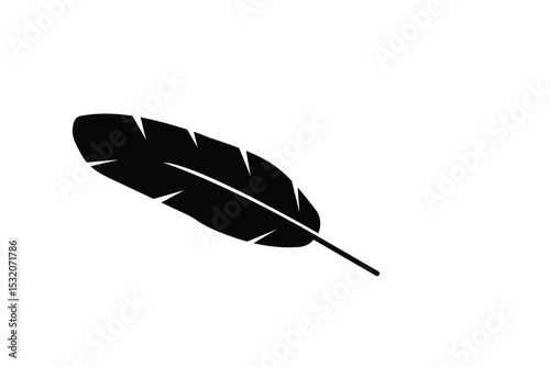 feather isolated on white background and vector illustrations design 