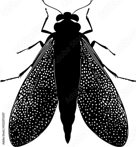 Lanternfly Silhouette Insect Vector Design