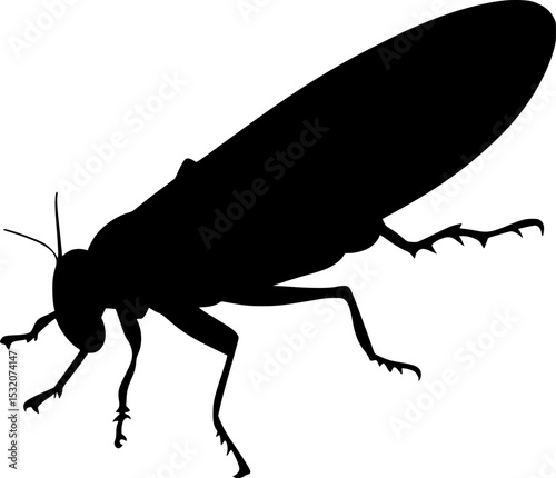 Leafhopper Black Silhouette Vector Insect Clipart