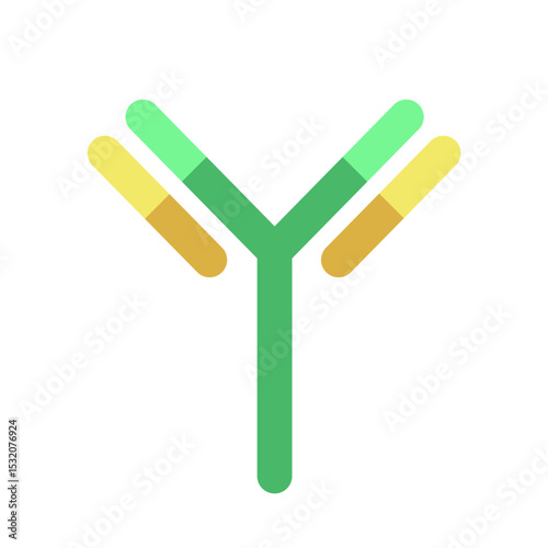 immunoglobulin antibody structure schematic icon. Adaptive immune response illustration. Vector 