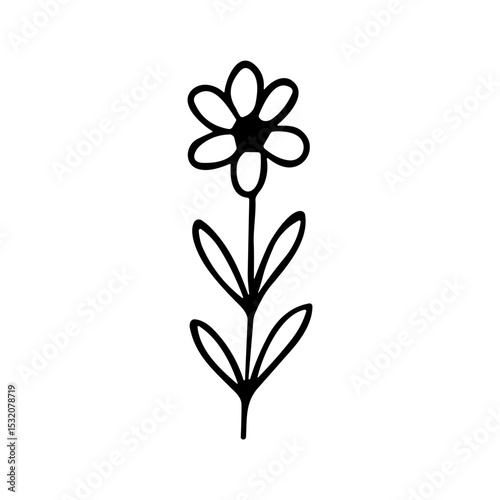 Simple Line Art Flower Drawing Botanical Illustration Floral Element