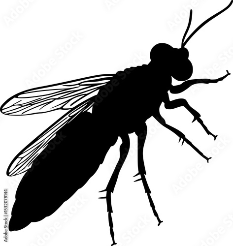 Sawfly Insect Black Silhouette Vector Clipart