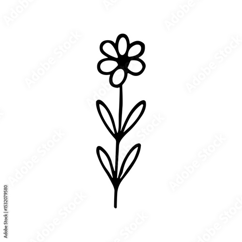 Simple Outline Handdrawn Floral Flower with Stem and Leaves Element