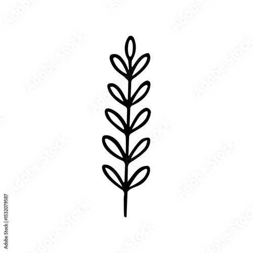 Minimalist Handdrawn Wheat Stalk Floral Element Botanical Illustration