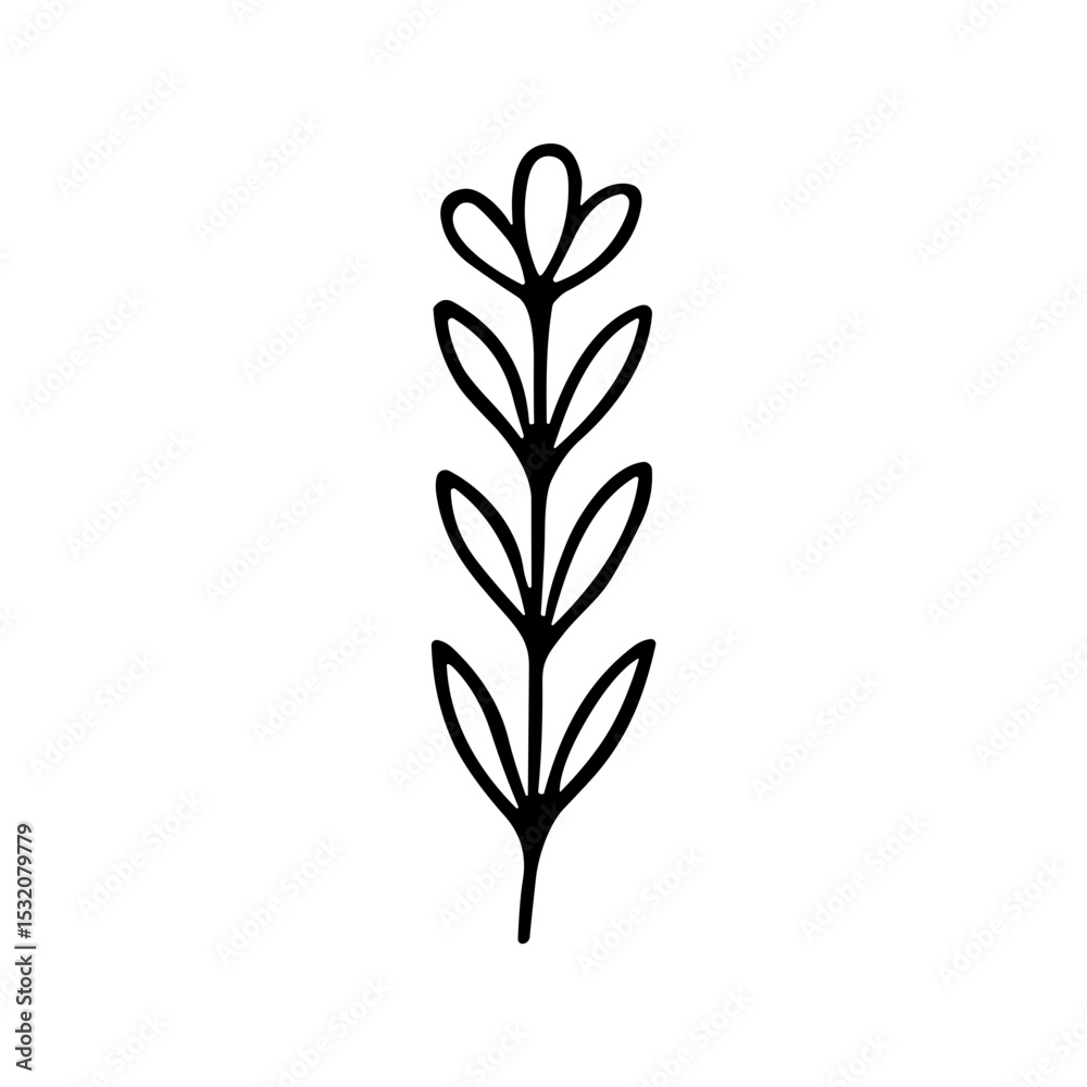 Fototapeta premium Simple Handdrawn Lavender Floral Element Design Decorative Isolated Graphic