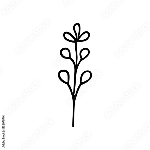 Minimalist Handdrawn Floral Branch Herb Plant Artwork Illustration