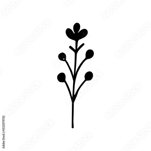 Handdrawn Elegant Floral Branch Silhouette Plant Nature Botanical Illustration