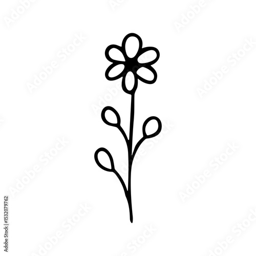 Simple Handdrawn Cute Flower Stem with Leaves Botanical Illustration